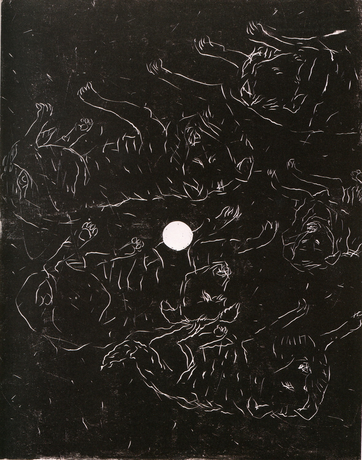 Fnf Hunde [Cinq chiens], 1999
