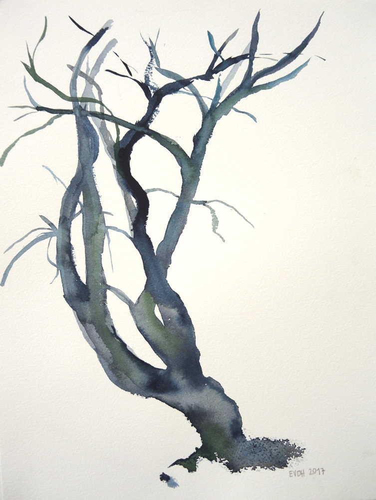 Portrait d'un arbre