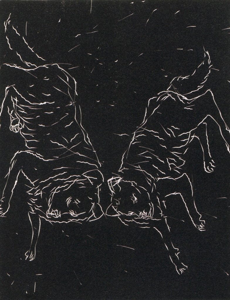 Zwei Hunde [Deux chiens], 1999