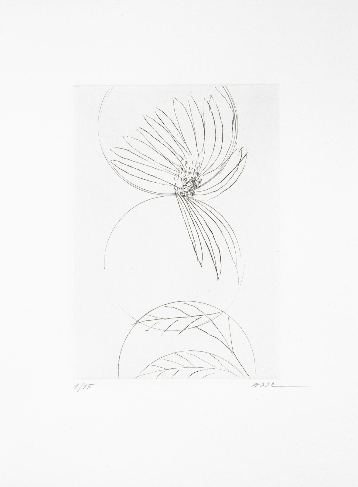 Sans titre III, 2013