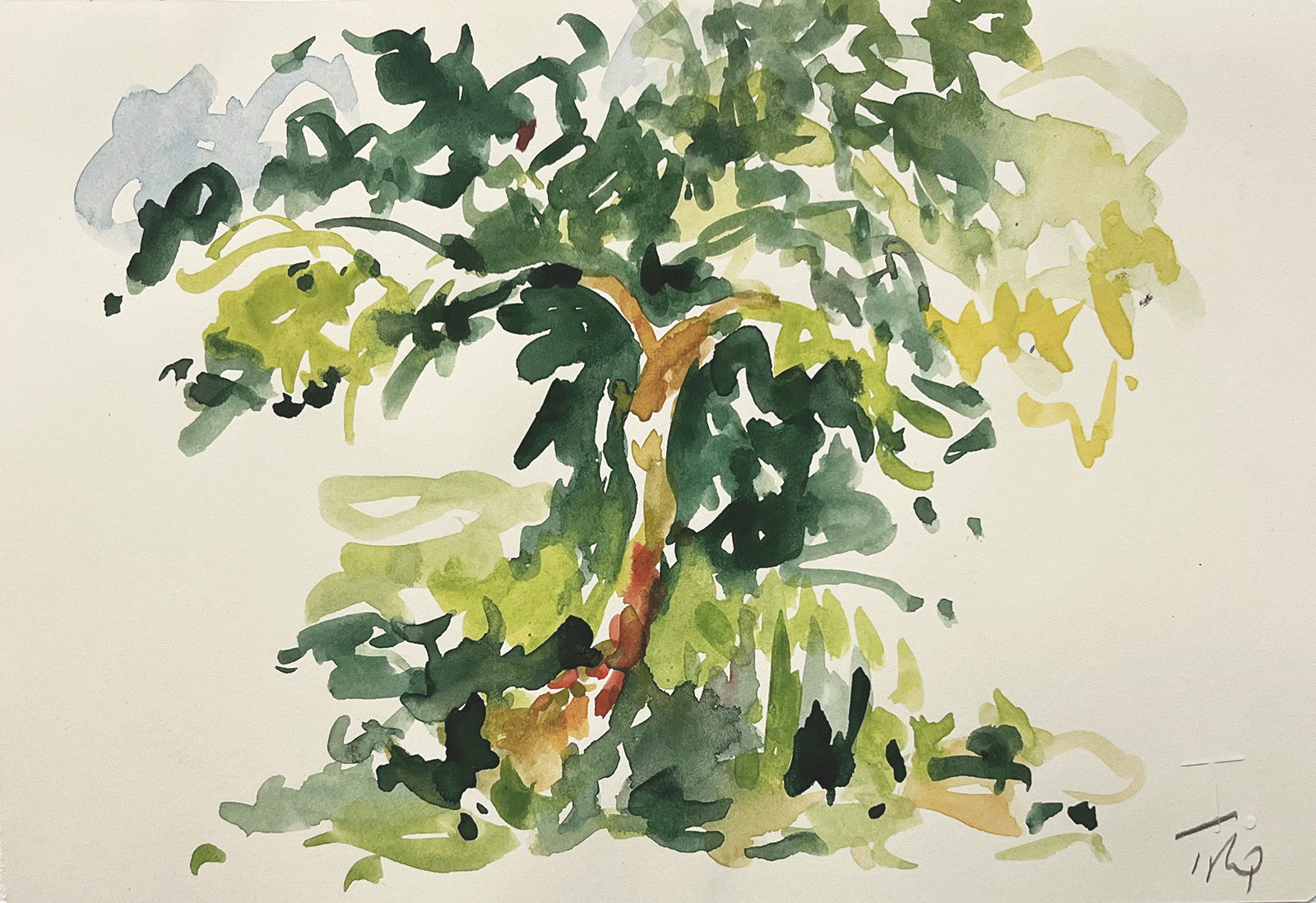 Arbre (Rognes), 2025