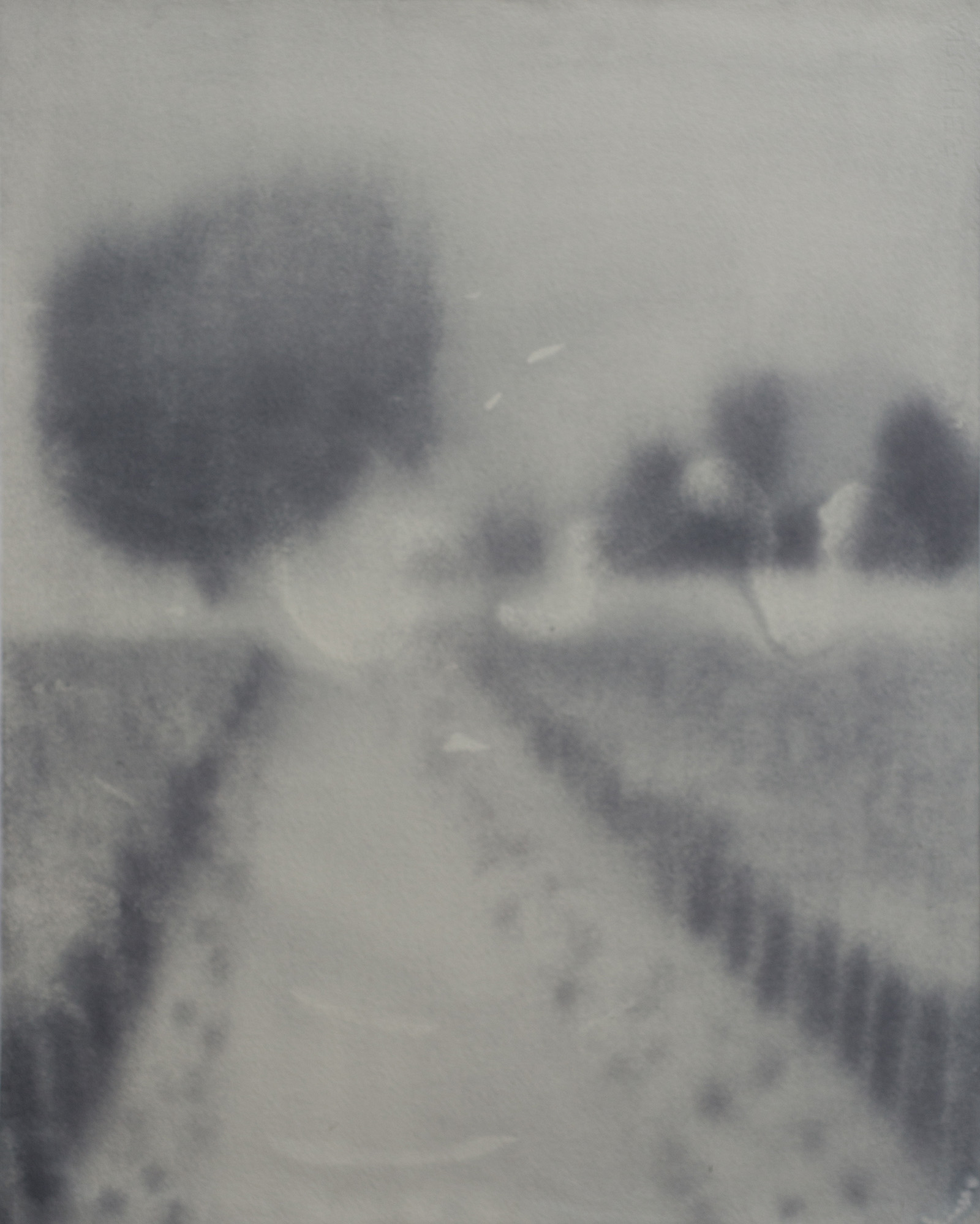 Les Paysages franais, le chemin #1, 2022